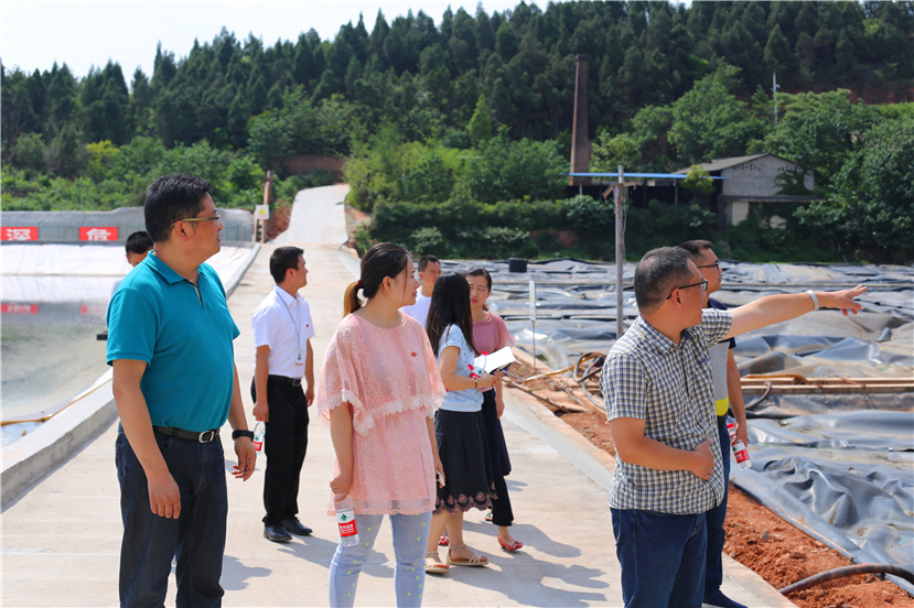 集团第一检查组检查杰阳排水公司、固废处置公司安全防汛和环保达标各项工作3_副本